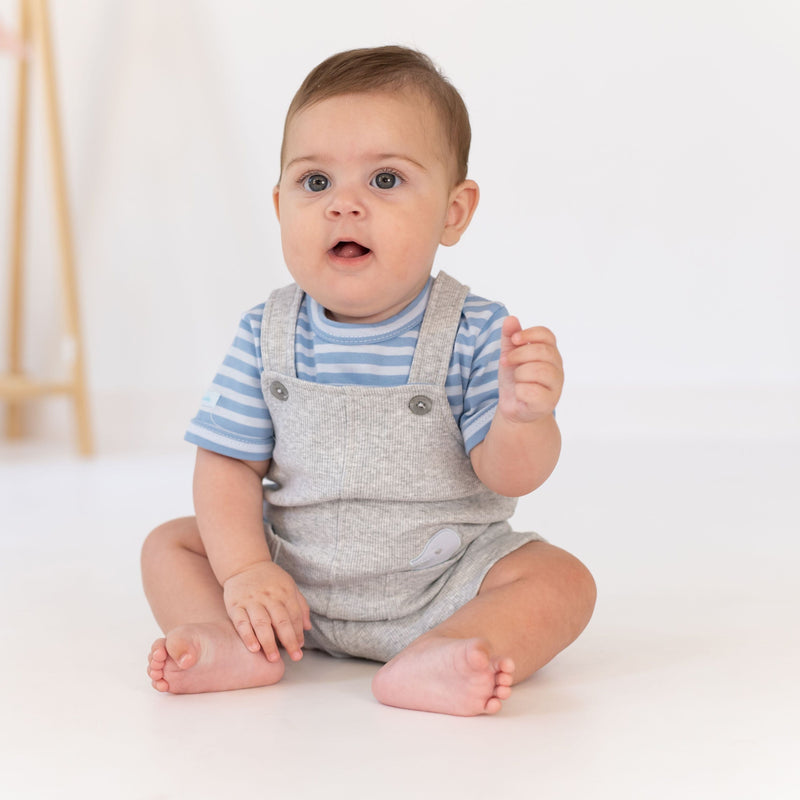 TUTTO PICCOLO Blue & Grey Shortie